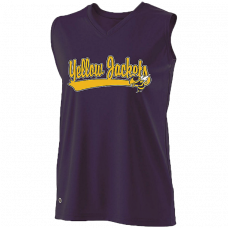 Georgia Tech YellowJackets Jerseys, T-shirts & Hats (3)
