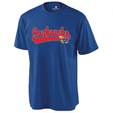Kansas Jayhawks Jerseys, T-shirts & Hats (3)