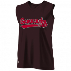 South Carolina Gamecocks Jerseys, T-shirts & Hats (3)