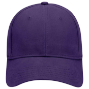 Low Pro Style Otto Cap