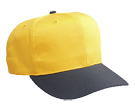 Pro Style Otto Cap