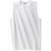 Adult 100% Cotton T-Shirt