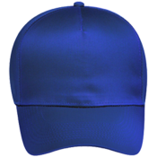 Pro Style Hat Otto Cap Pro Style Hat Otto Cap