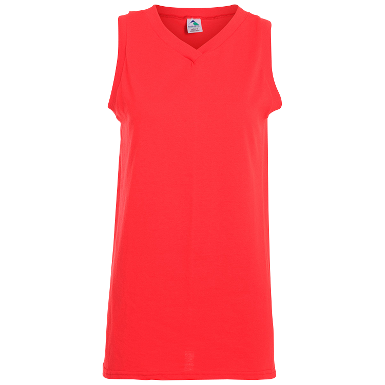Ladies V-Neck Jersey