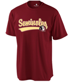 DISCONTINUED Florida State Seminoles Youth Jersey T-Shirt