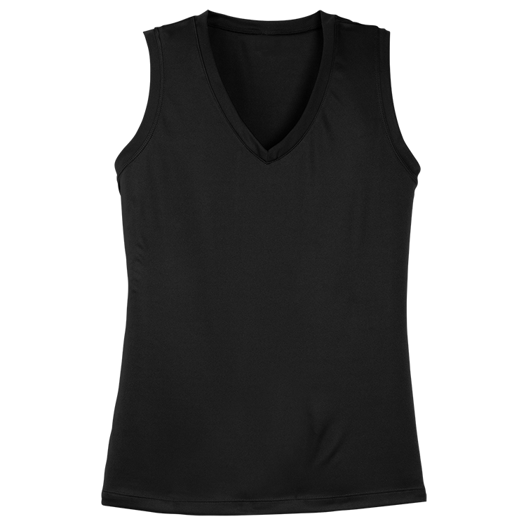 Ladies Wicking V-Neck Jersey