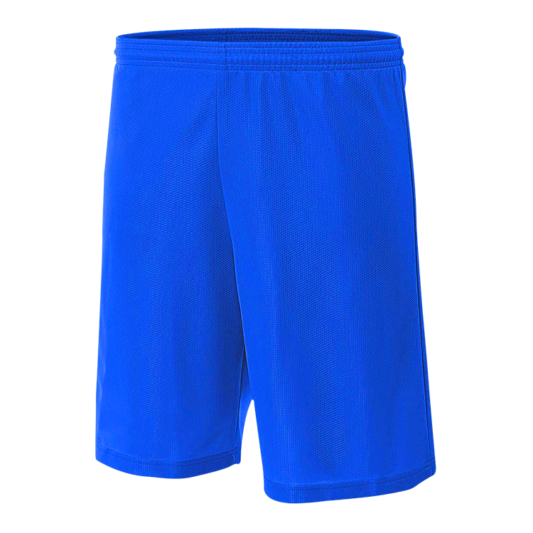Screen Printed Basketball Shorts | Mens 9" Lined Micromesh Shorts N5255