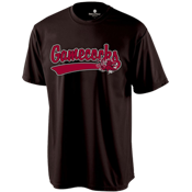 DISCONTINUED South Carolina Gamecocks Youth Jersey T-Shirt