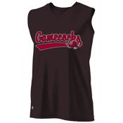 DISCONTINUED South Carolina Gamecocks Ladies Sleeveless Softball Jersey