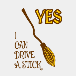 I Can Drive A Stick T-shirts
