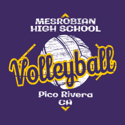 Volleyball - Volleyball T-shirt Design T-Shirt Design - 2096