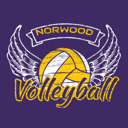 Volleyball - Volleyball T-shirt Design T-Shirt Design - 2100