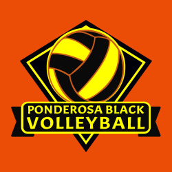 Volleyball - Volleyball T-shirt Design T-Shirt Design - 2103