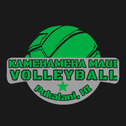 Volleyball - Volleyball T-shirt Design T-Shirt Design - 2095