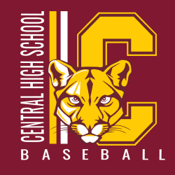 Cougars Baseball T-Shirt Design - 4022