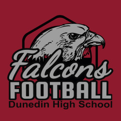Falcons Football - Teamwear T-shirts