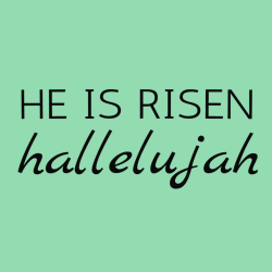 He is risen hallelujah - Christian T-shirts