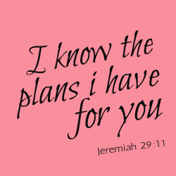 I know the plans i have for you - Christian T-shirts