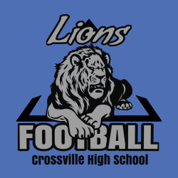 Lions Football - Teamwear T-shirts