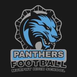 Panthers Football - Teamwear T-shirts