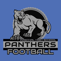Panthers Football - Teamwear T-shirts