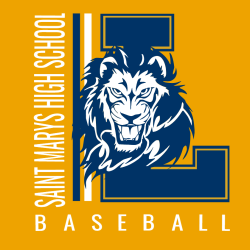Lions Baseball T-Shirt Design - 4025