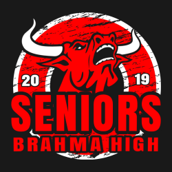 Senior - Senior Class Pride T-shirts