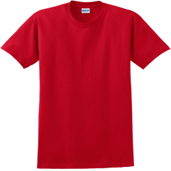 Regional Champions Lake Geneva Baseball T-Shirt Design - 2466