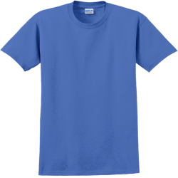 Lions Football - Teamwear T-shirts