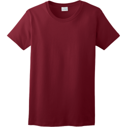 Salt & Light Matthews 5:13 - Christian T-shirt Design T-Shirt Design - 3807