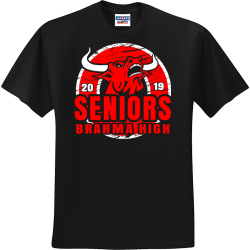 Senior - Senior Class Pride T-shirts
