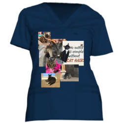 Chance1 Dickies Medical Youtility V-Neck Top