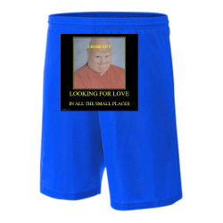 Chode-city Screen Printed Basketball Shorts | Mens 9" Lined Micromesh Shorts N5255