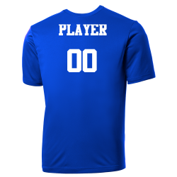 CUBS Cubs MLB Little League Team Jerseys - Official Nike Youth MLB Wordmark Poly Tees - NY223