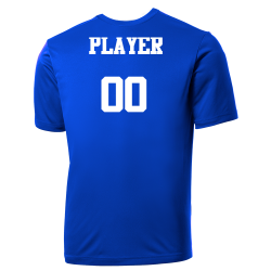 CUBS Cubs MLB Little League Team Jerseys - Official Nike Youth MLB Wordmark Poly Tees - NY223