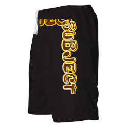 SUBJECT--SUBJECT--shorts-2 Adult Unisex  Mesh Shorts  - 567P