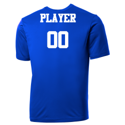 mets-jersey Mets MLB Adult League Team Jerseys - Official Nike MLB Wordmark Poly Tees - N223