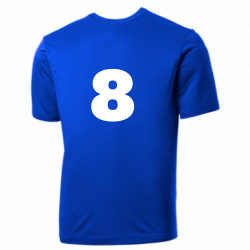 Cub Cubs MLB Adult League Team Jerseys - Official Nike MLB Wordmark Poly Tees - N223