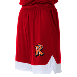 RA-Adults plain Adult Long Mini Mesh Shorts