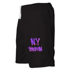 .-dauphin-shorts Adult Unisex  Mesh Shorts  - 567P