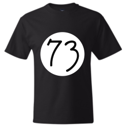 73t Mens 100% Cotton T-Shirt