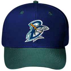 BB Pro Style Otto Cap