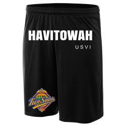 HAVITOWAH-U-S-V-I Order Screen Printed Basketball Shorts | Mens 9" Cooling Performance Power Mesh Practice Short N5281