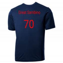 Sambino Red Sox MLB Little League Team Jerseys - Official Nike Youth MLB Wordmark Poly Tees - NY236