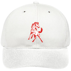 Swata RATTPACK LOGIC Low Pro Style Otto Cap