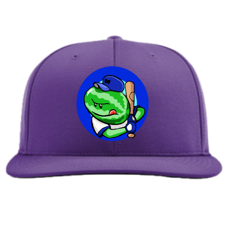 27 melonheads Adult Flex Fit Hat