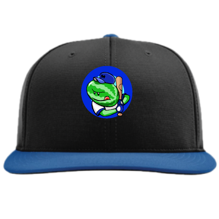 Melon heads Adult Flex Fit Hat