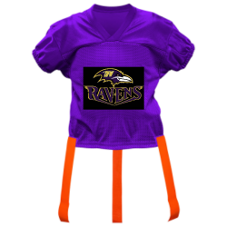 DFW-Ravens-Elite DISCONTINUED Youth Official Flag Football Jersey - 1368