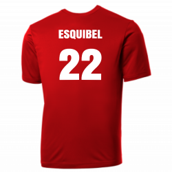 Angel Angels MLB Little League Team Jerseys - Official Nike Youth MLB Wordmark Poly Tees - NY223