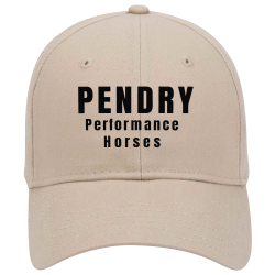 PENDRY Low Pro Style Otto Cap